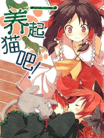 起养猫吧！