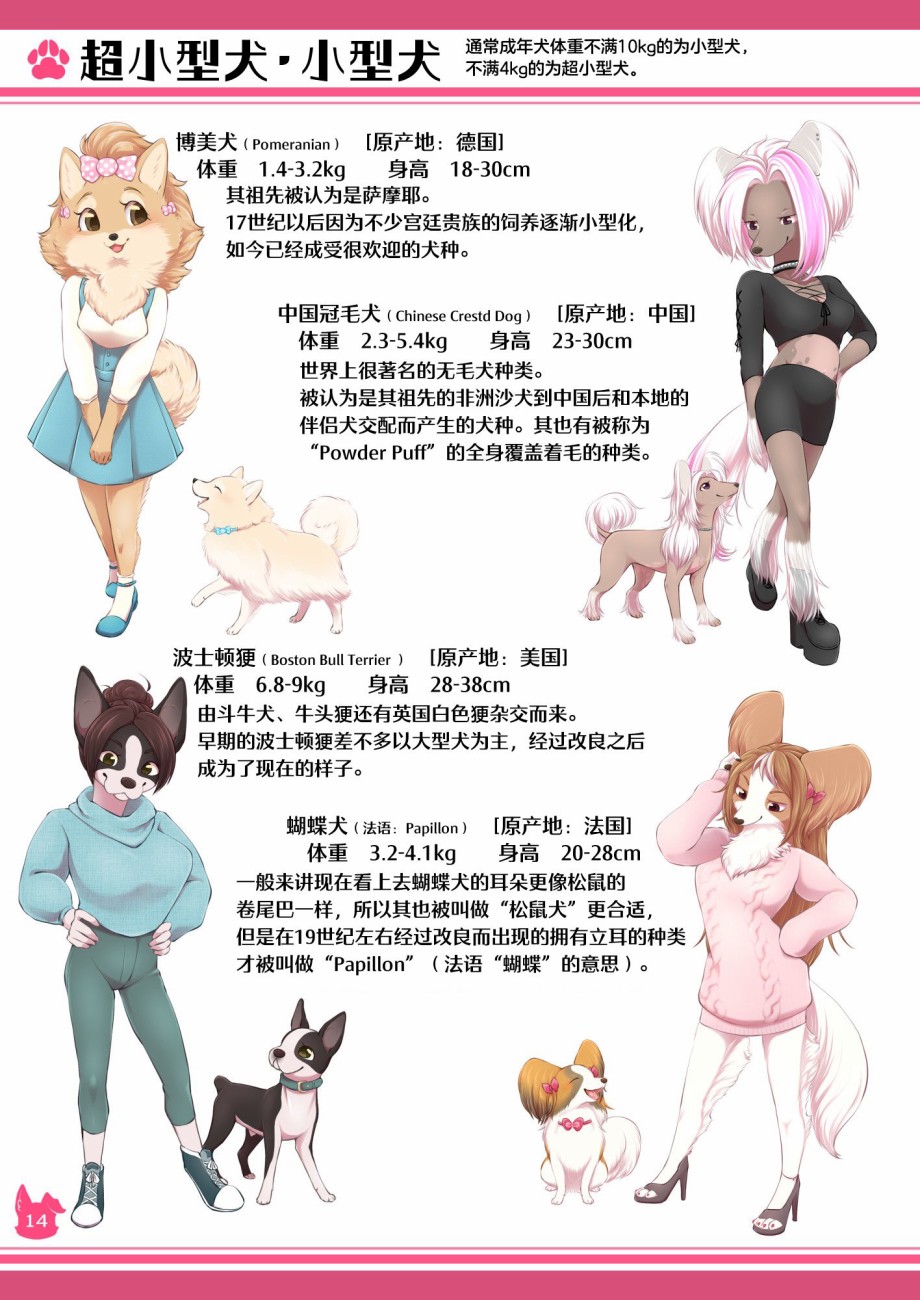 第14页