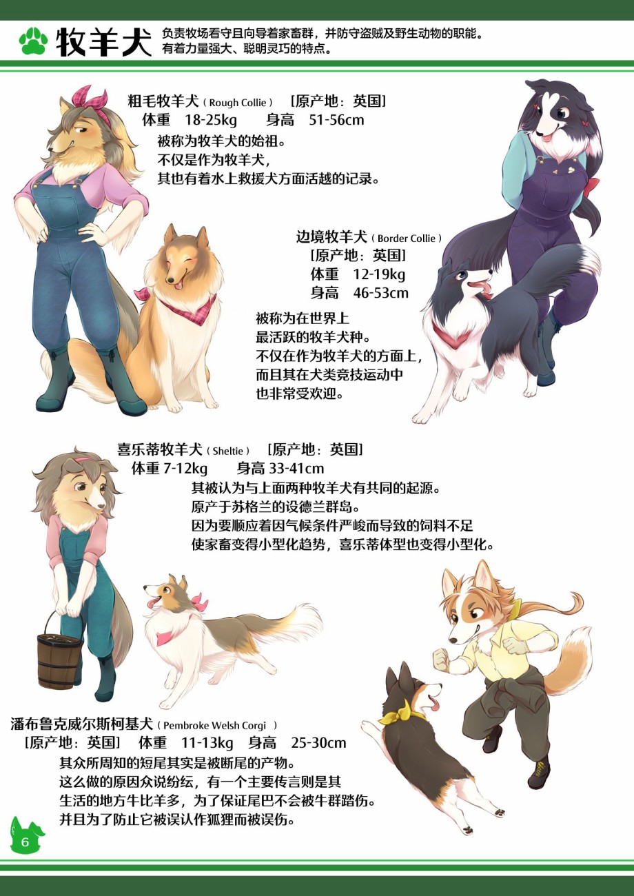 第6页