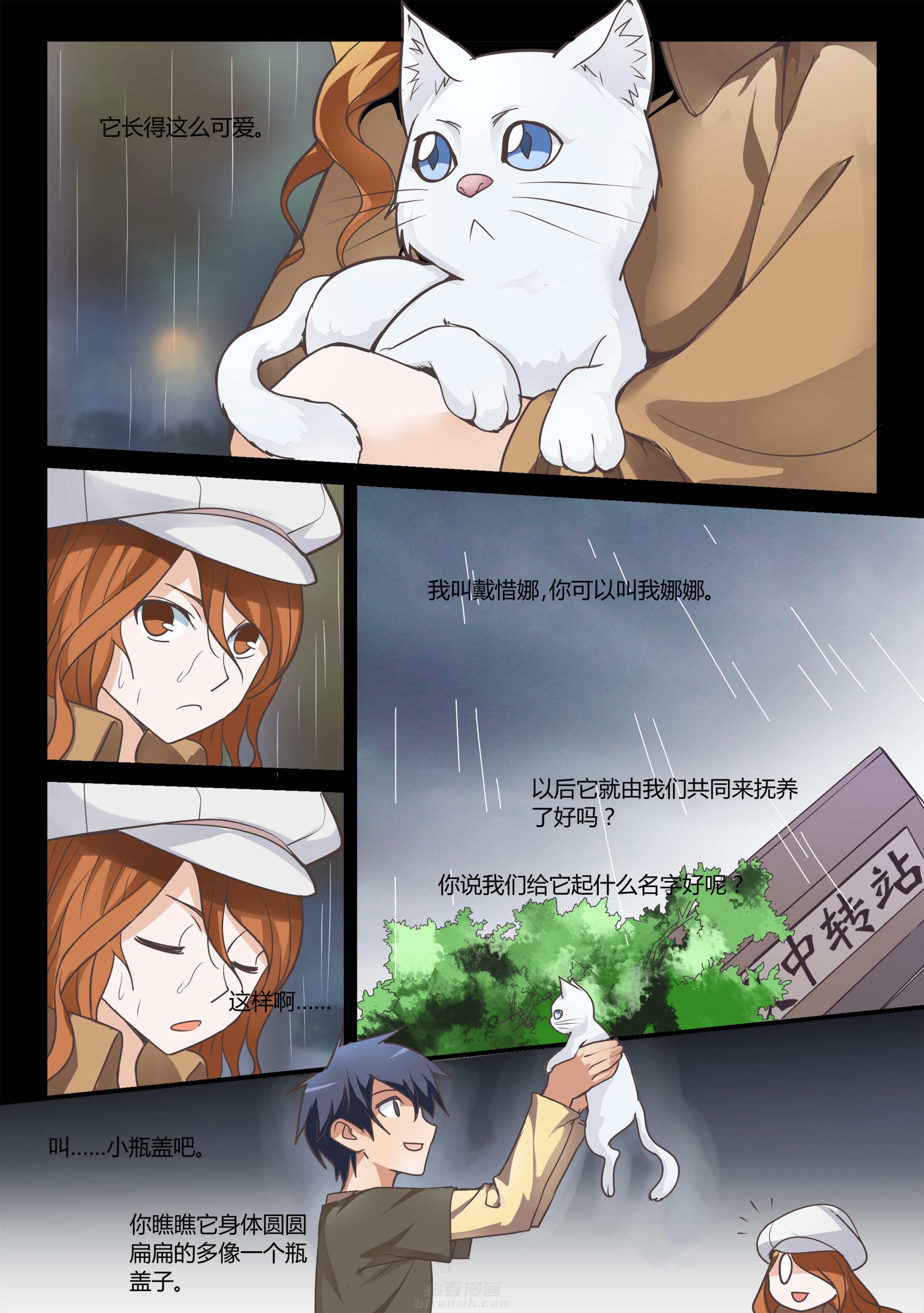 第3页