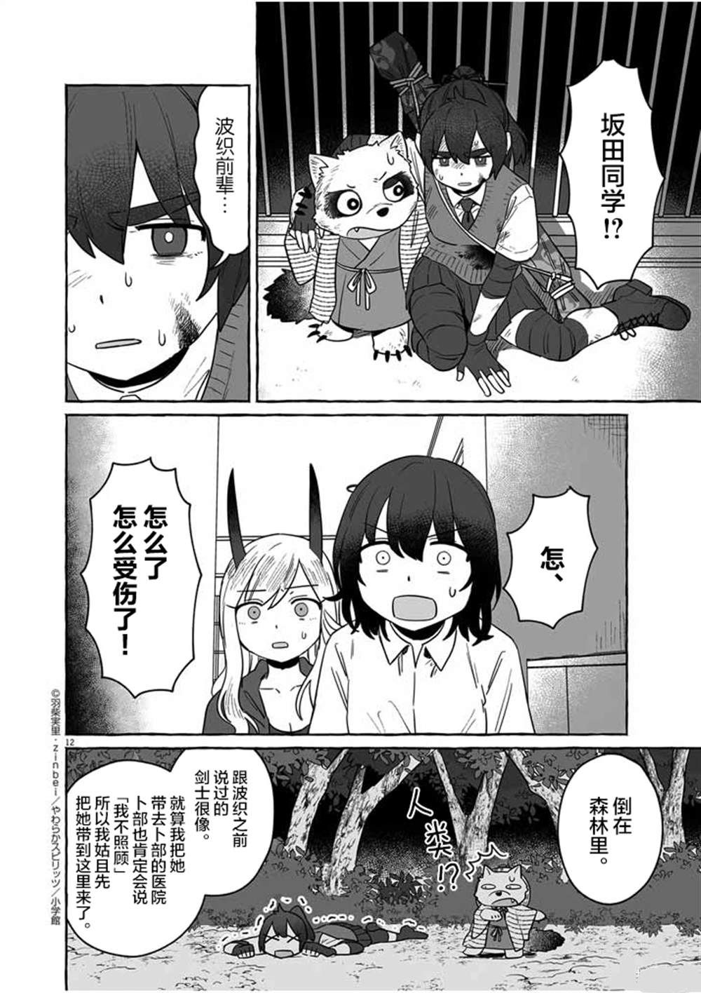 第12页